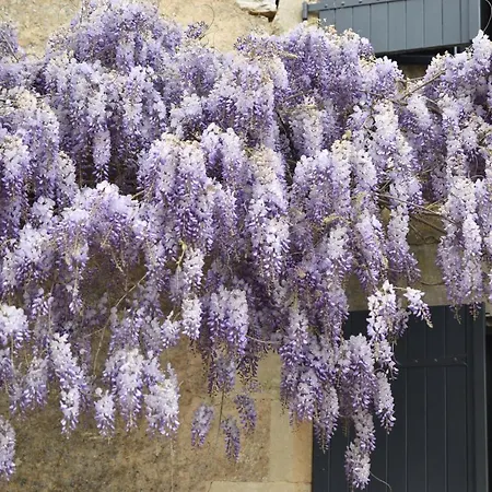 Un Jardin Et Trois Maisons *
