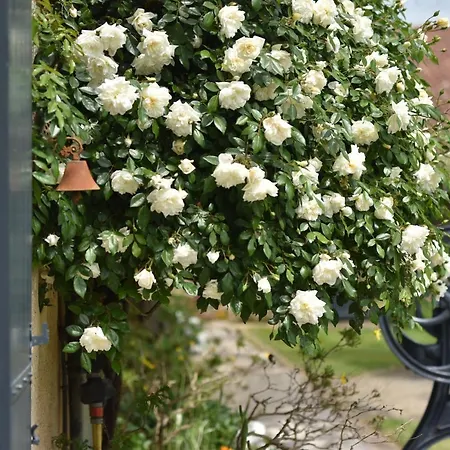 Un Jardin Et Trois Maisons 3*