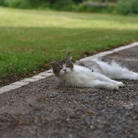 Un Jardin Et Trois Maisons Brux