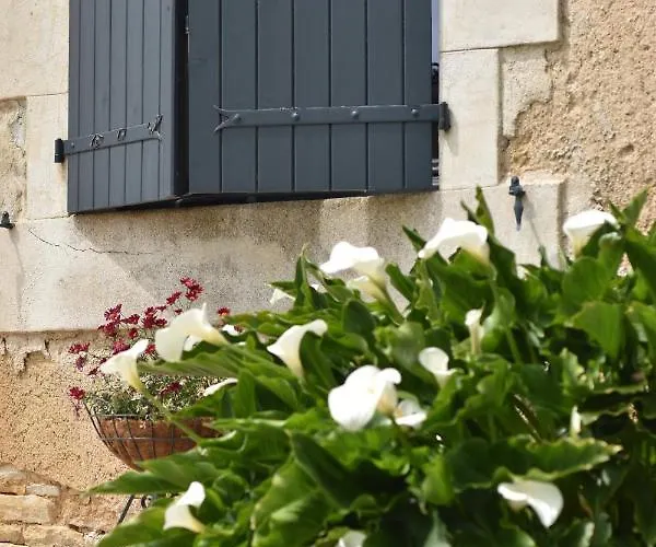 Un Jardin Et Trois Maisons