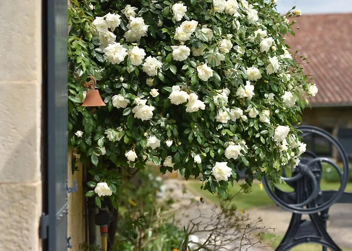 Un Jardin Et Trois Maisons 3*